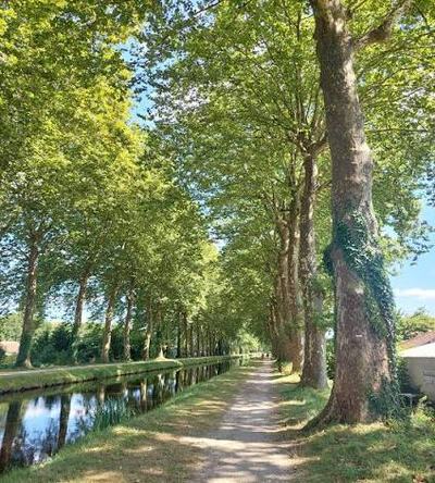 photo du canal de la sauldre