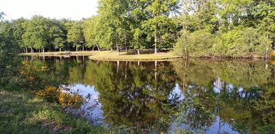 photo etang magdeleine
