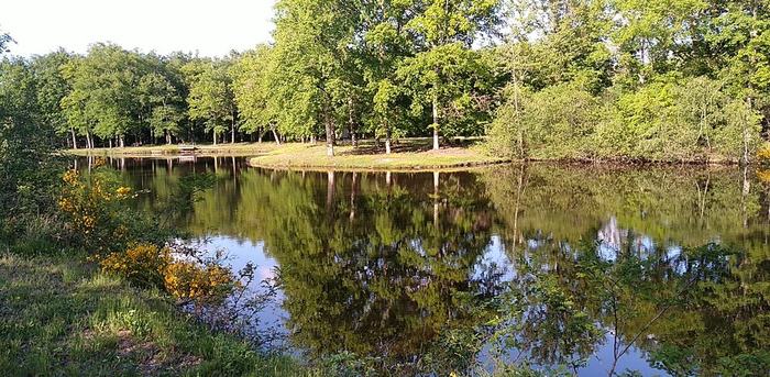 photo etang magdeleine